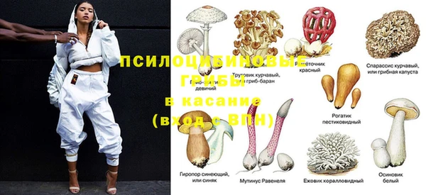 экстази Бикин