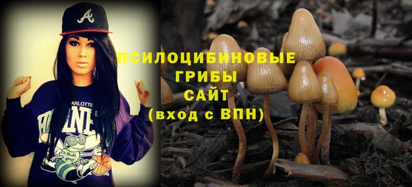 apvp Арсеньев